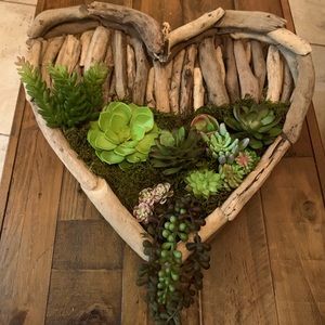 Succulent Arrangement